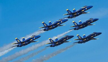 FILE — The U.S. Navy Blue Angels fly at the Daytona Air Show. (Spectrum News)