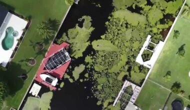 Experts discuss health risks of harmful algal blooms in Southwest Florida