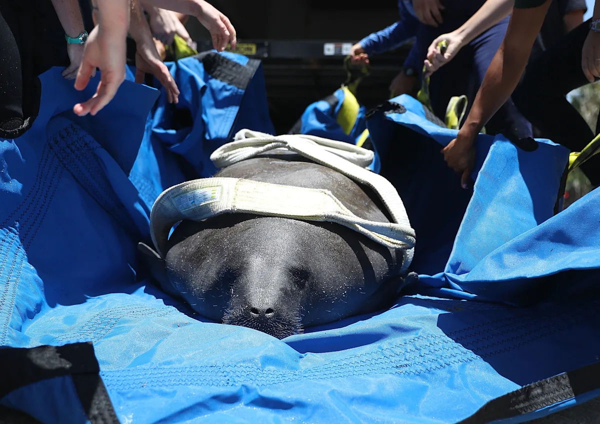 Yahoo lifestyle home