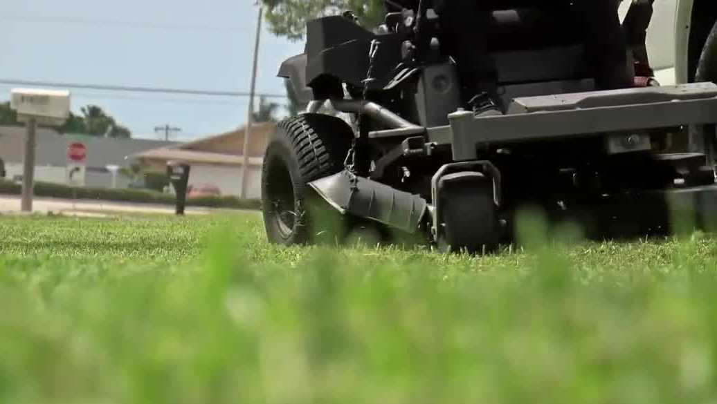 Sugar cane mosaic virus affects lawns across Florida