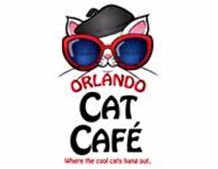Orlando Cat Cafe Named Social Impact Business of the Year by WomElle Female Voice Awards