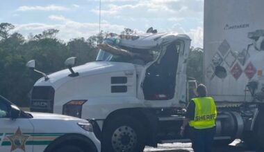Florida man killed when timber "pierced" truck cab during collision, sheriff's office says