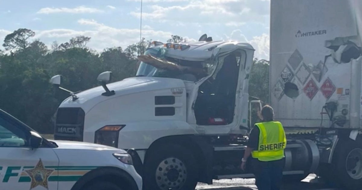 Florida man killed when timber "pierced" truck cab during collision, sheriff's office says