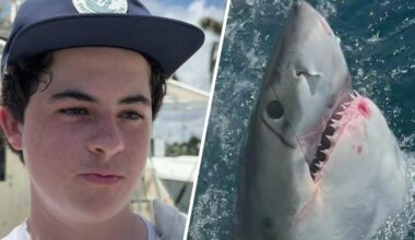 Video shows moment Massachusetts family reels in rare 10-foot great white shark off Fort Lauderdale