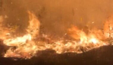 "Highway 41 Fire" burns 420 acres in Miami-Dade, officials monitoring newly sparked wildfire