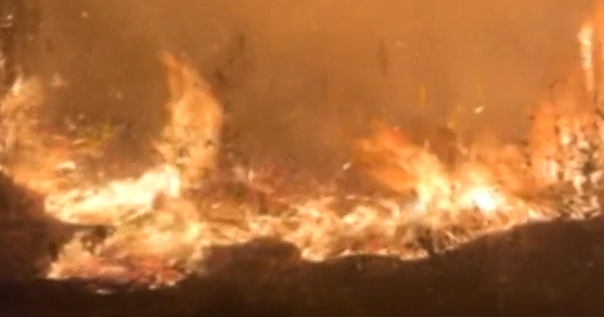 "Highway 41 Fire" burns 420 acres in Miami-Dade, officials monitoring newly sparked wildfire