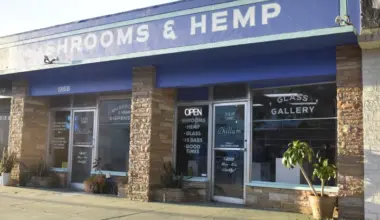 'Legal mushroom dispensery' to close St. Pete location
