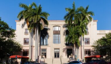St. Pete audit finds no mismanagement following DOGE criticism