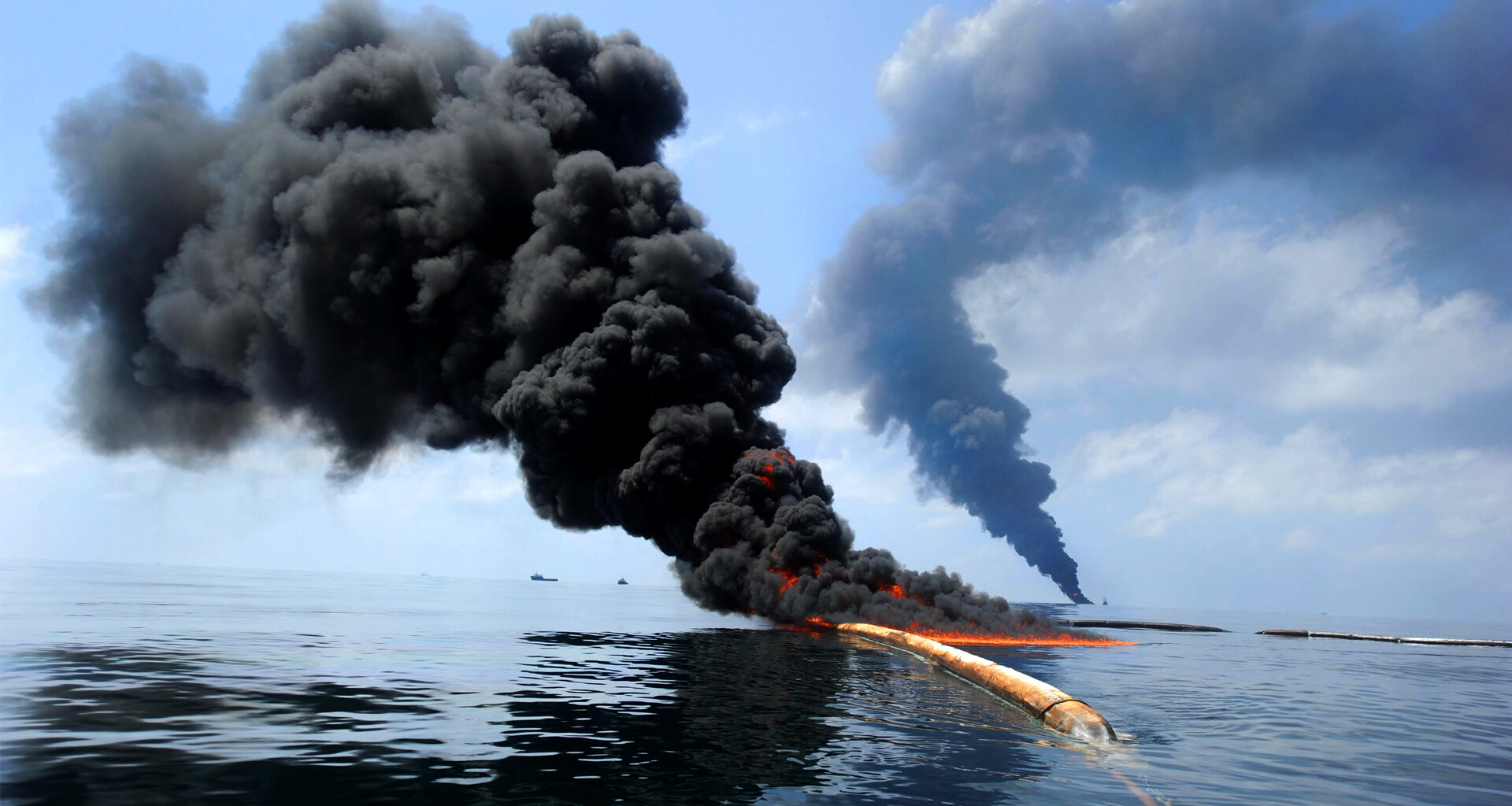 The Trump administration is steamrolling Florida’s oceans and wildlife 