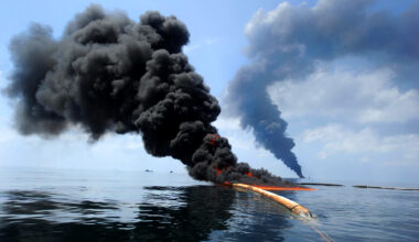 The Trump administration is steamrolling Florida’s oceans and wildlife 