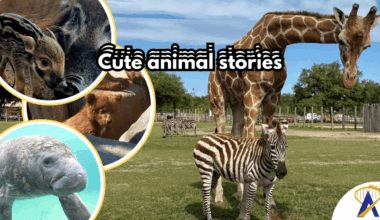 cute animal stories at U.S. theme parks this month - photos from Disney Six Flags and Wild Adventures