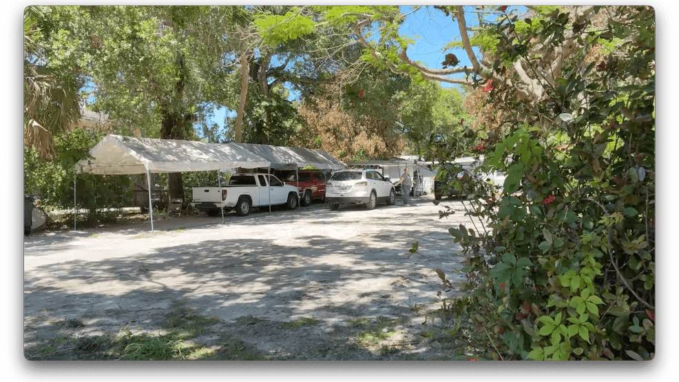 A Fort Pierce woman is in custody after police discovered five dead dogs on her front lawn and more than a dozen more animals living in disturbing conditions (WPEC)