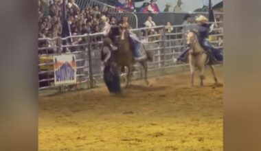 VIDEO: Tampa Bay Rodeo competitor run over by horses while exciting the crowd