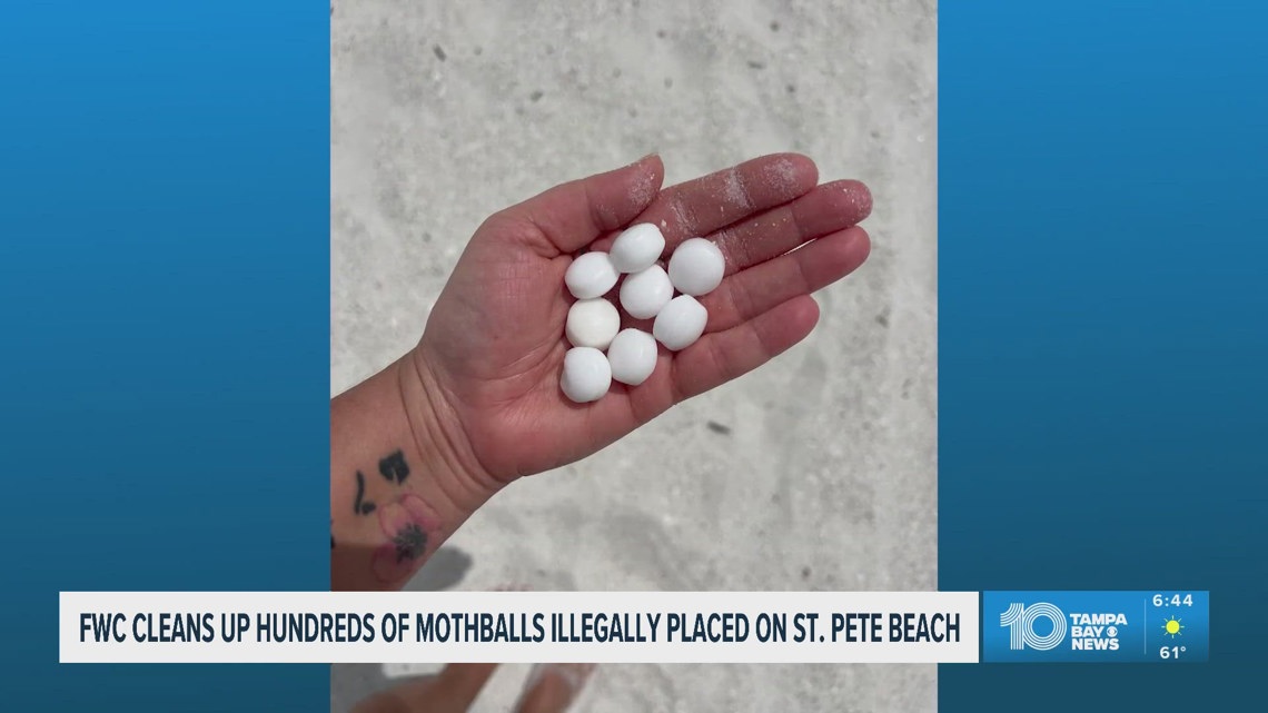 Mothballs discovered by FWC on St. Pete Beach