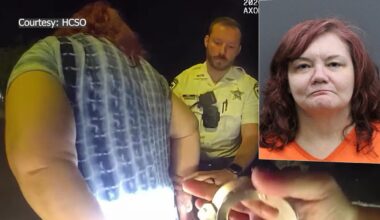 Dunedin woman accused of DUI caught on camera driving the wrong way pulls out credit card instead of license