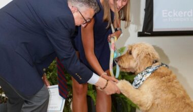 Congrats, grads! 53 pets to be honored in Eckerd College's Pet Graduation