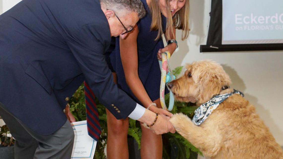 Congrats, grads! 53 pets to be honored in Eckerd College's Pet Graduation