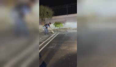 WATCH: Florida officers capture alligator after encounter in a neighborhood