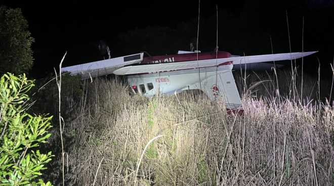 A pilot survived a small airplane crash in the Hungryland Preserve late Saturday night, according to the Martin County Sheriff’s Office.