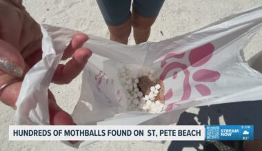 FWC investigating after hundreds of mothballs illegally placed on St. Pete Beach