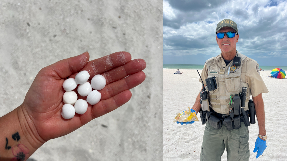 FWC cleans up hundreds of mothballs illegally placed on St. Pete Beach