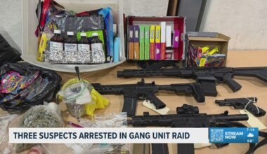 Three suspects arrested in gang unit raid in Tampa