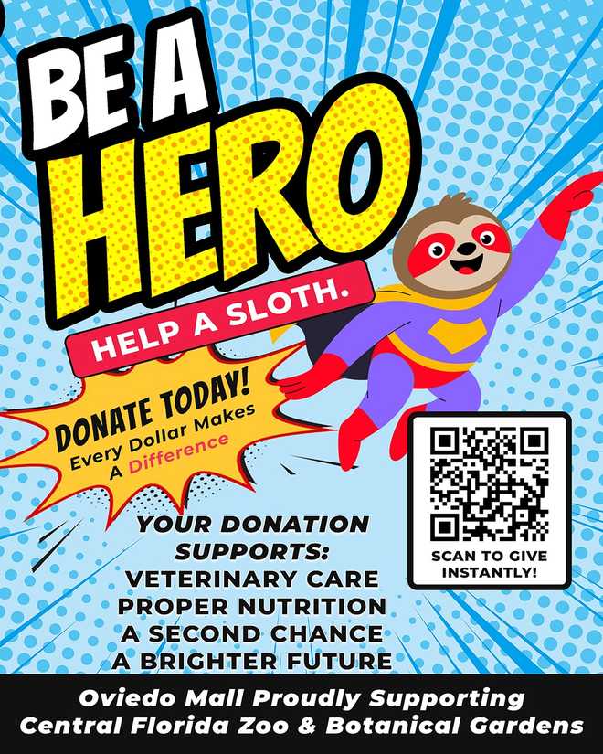 oviedo mall collects donations to help central florida zoo  with the 13 sloths