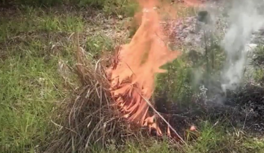 Burn ban issued for parts of Orange County, officials say