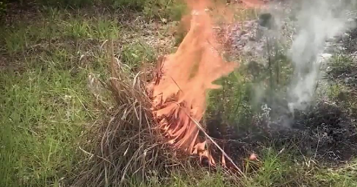 Burn ban issued for parts of Orange County, officials say