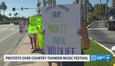 Protesters urge St. Pete Beach leaders to halt Country Thunder festival over turtle concerns