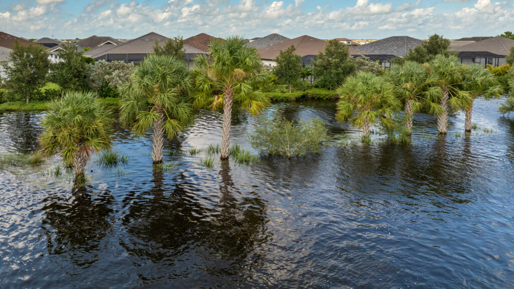This Earth Month, Florida should demand a limit on sea-level rise 