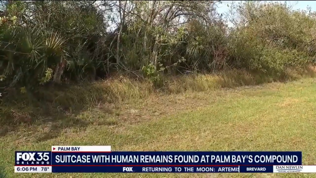 A grassy field borders a dense line of trees and bushes, with text overlay describing a suitcase with human remains found at Palm Bay's compound.