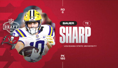 Tampa Bay Buccaneers logo