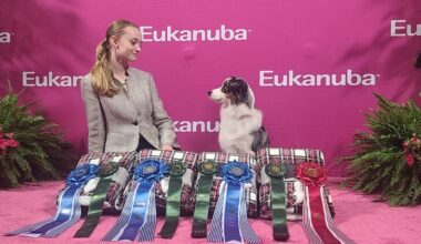 Meet Junior Handler Gemma Eldridge