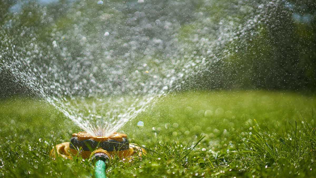 Cape Coral asks residents to reduce lawn watering as drought conditions persist