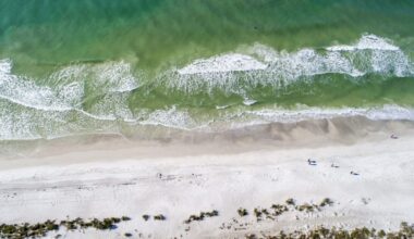 14-foot waves, 40MPH winds expected along Florida coast: What beach cities are doing to prepare