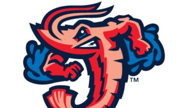 Jumbo Shrimp introduce new $99 ballpark pass for 2026 season – Action News Jax