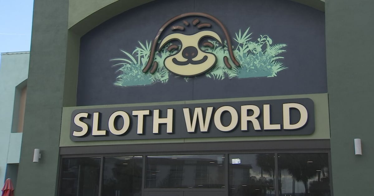 Orlando: Sloth World 31 dead sloths