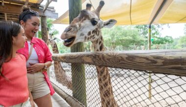 Brevard Zoo offers free kids' entry for Florida locals