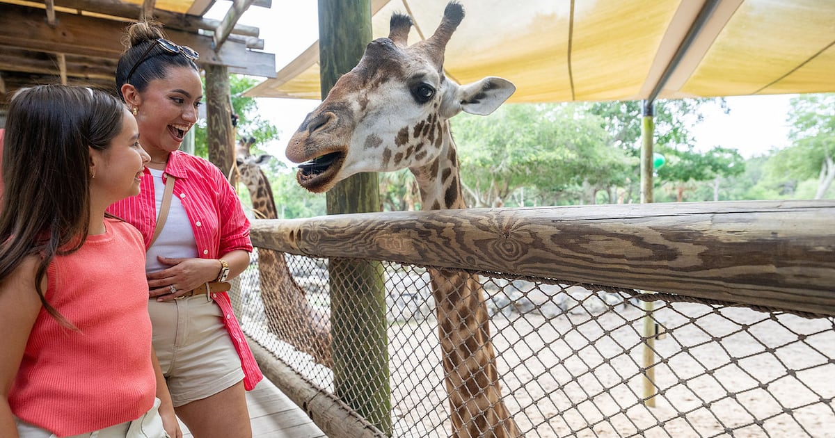 Brevard Zoo offers free kids' entry for Florida locals