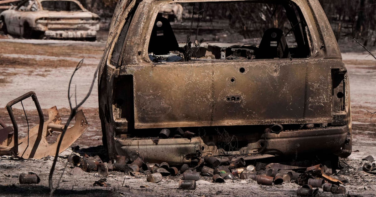 Florida, Georgia wildfires, more homes destroyed, more evacuations, curfew ordered – Action News Jax