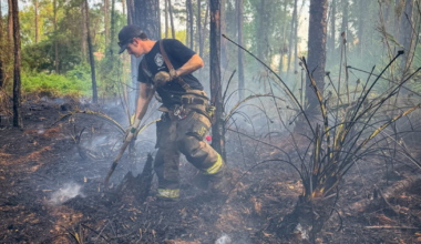 JFRD, Florida Forest Service put out two small brush fires in Duval County