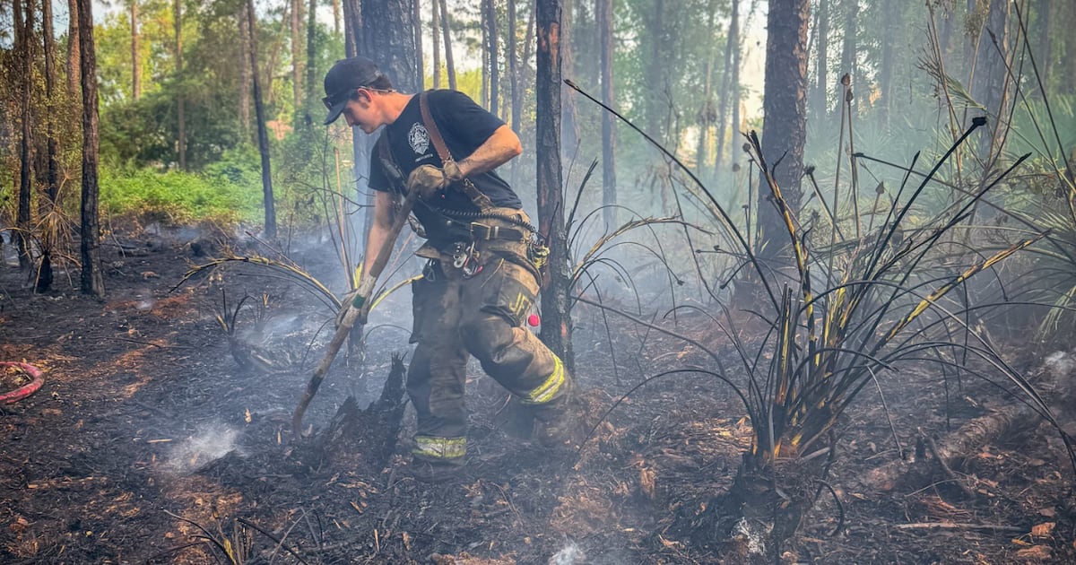 JFRD, Florida Forest Service put out two small brush fires in Duval County