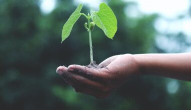 Earth Day Tree planting event set for Orlando community – WFTV