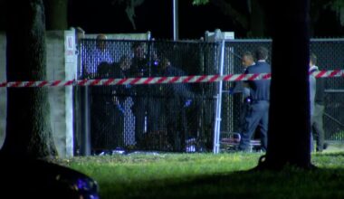 Man, dog found dead in dumpster in North Jacksonville