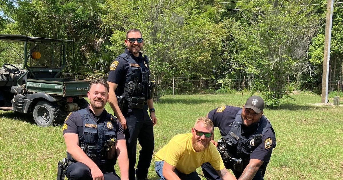 Large alligator captured in Apopka, safely relocated