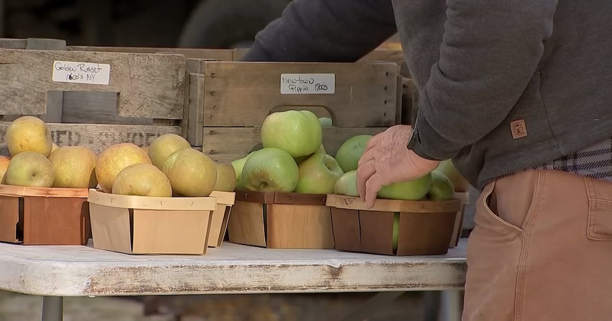 Farmers market coming to Jacksonville Tractor Supply Store – Action News Jax