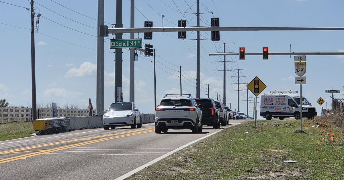 New traffic signal aims to ease congestion in West Orange County – WFTV