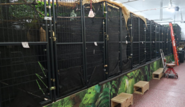 PETA seeks probe into sloth deaths at Orlando attraction