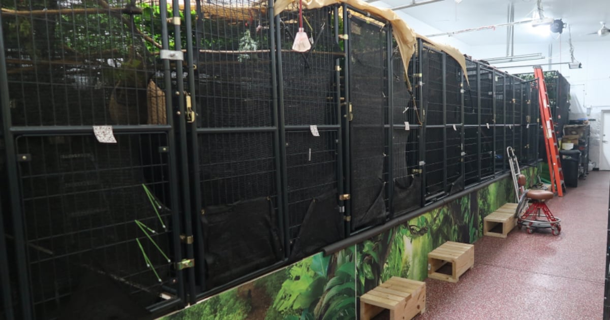 PETA seeks probe into sloth deaths at Orlando attraction